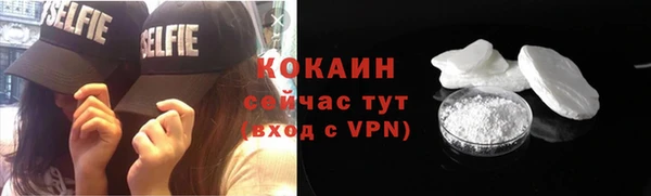 прущий лед Алзамай