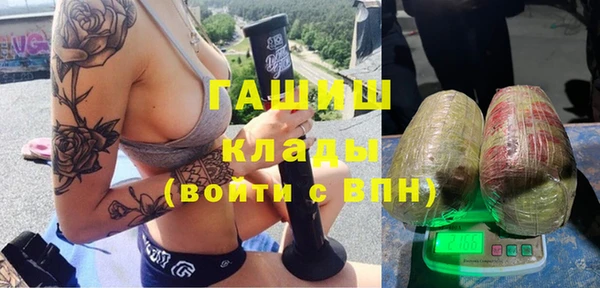 прущий лед Алзамай