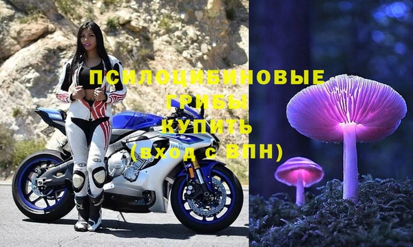 прущий лед Алзамай