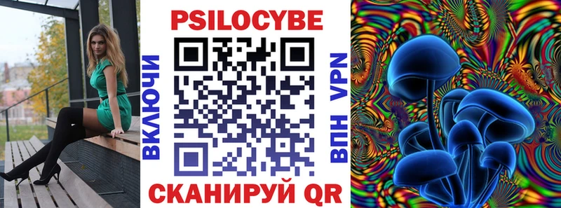 Псилоцибиновые грибы Psilocybe  Змеиногорск 
